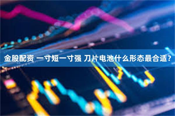金股配资 一寸短一寸强 刀片电池什么形态最合适？
