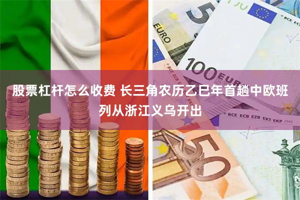 股票杠杆怎么收费 长三角农历乙巳年首趟中欧班列从浙江义乌开出