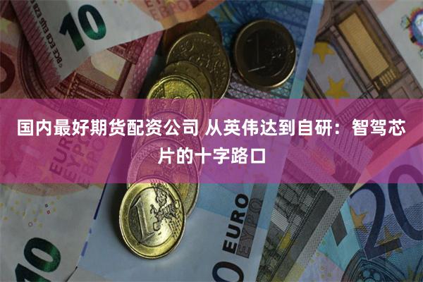 国内最好期货配资公司 从英伟达到自研：智驾芯片的十字路口