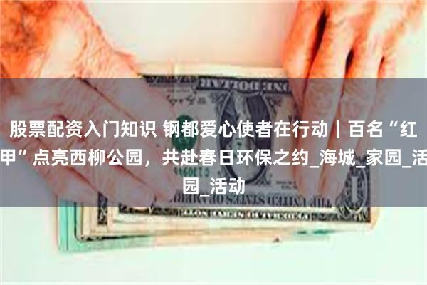 股票配资入门知识 钢都爱心使者在行动｜百名“红马甲”点亮西柳公园，共赴春日环保之约_海城_家园_活动
