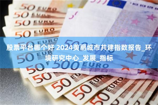 股票平台哪个好 2024美丽城市共建指数报告_环境研究中心_发展_指标