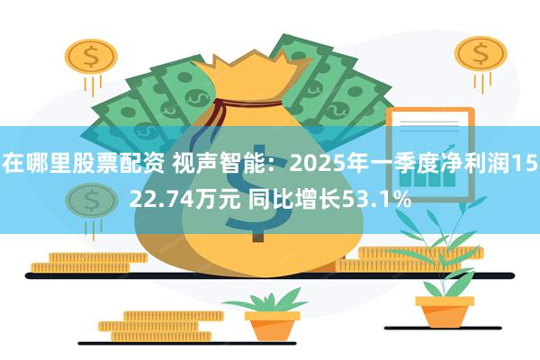 在哪里股票配资 视声智能：2025年一季度净利润1522.74万元 同比增长53.1%