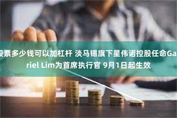 股票多少钱可以加杠杆 淡马锡旗下星伟诺控股任命Gabriel Lim为首席执行官 9月1日起生效