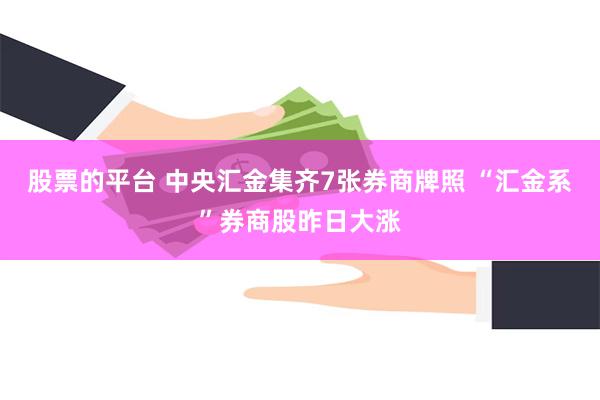股票的平台 中央汇金集齐7张券商牌照 “汇金系”券商股昨日大涨
